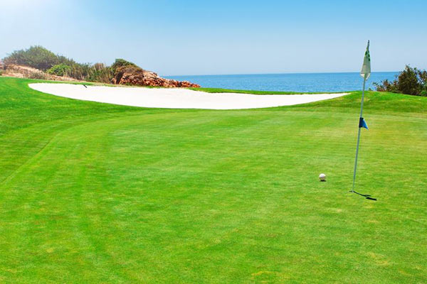 Golf course in portugal